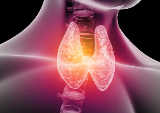 Diagnostic solution for the determination of factors related to thyroid disorders - Diasorin