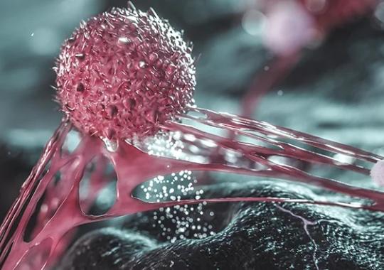 New Resource: Biocompare ebook Offers Useful Tips for Improving Cytokine Detection