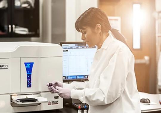 3D Organoid Cultures Offer Clues to Heterogeneous Therapy Response in Cancer Patients