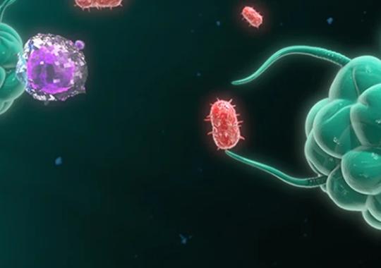 METHODS Special Issue: Multiplexing Protocol for Evaluating Biological Interactions with Nanoparticles