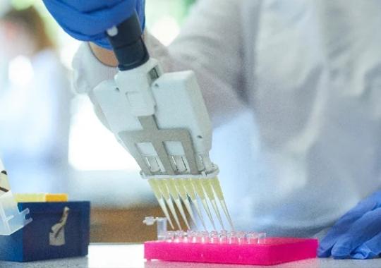 Getting Double the Data from Less Sample: An xMAP INTELLIFLEX® Dual Reporter Assay in Action