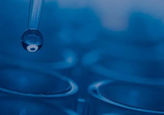 Selecting the Right Plate Magnet for Luminex Assays
