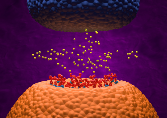 Multiplexing Technology Supports Autoantibody Studies for Immuno‑Oncology Treatment