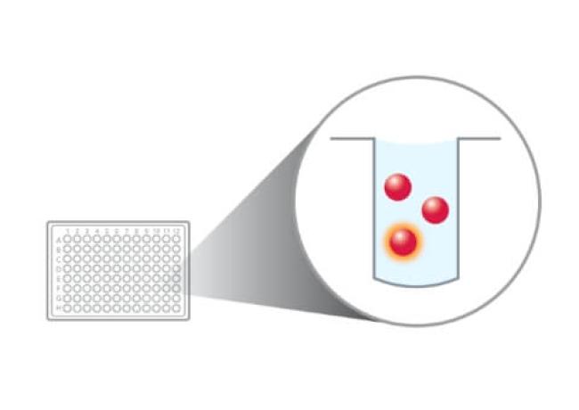 Microsfere di monitoraggio MagPlex® per strumenti Luminex