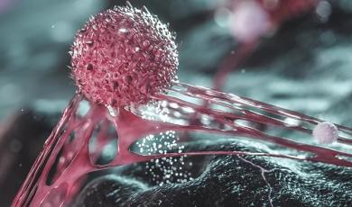 New Resource: Biocompare ebook Offers Useful Tips for Improving Cytokine Detection