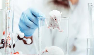 METHODS Special Issue: Multiplexing to Quantify Cytokines and Chemokines in Mouse Brain Study