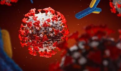 The Versatility of Multiplex Antibody Titer Assays for COVID-19 and Beyond