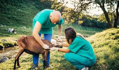 How xMAP® Technology Advances Veterinary and Agricultural Research