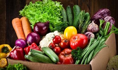 Luminex Licensed Technologies Partner Spotlight: Wageningen Prime Diagnostics