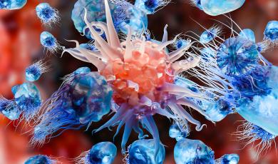 Questions to Ask When Choosing a Multiplex Assay Kit