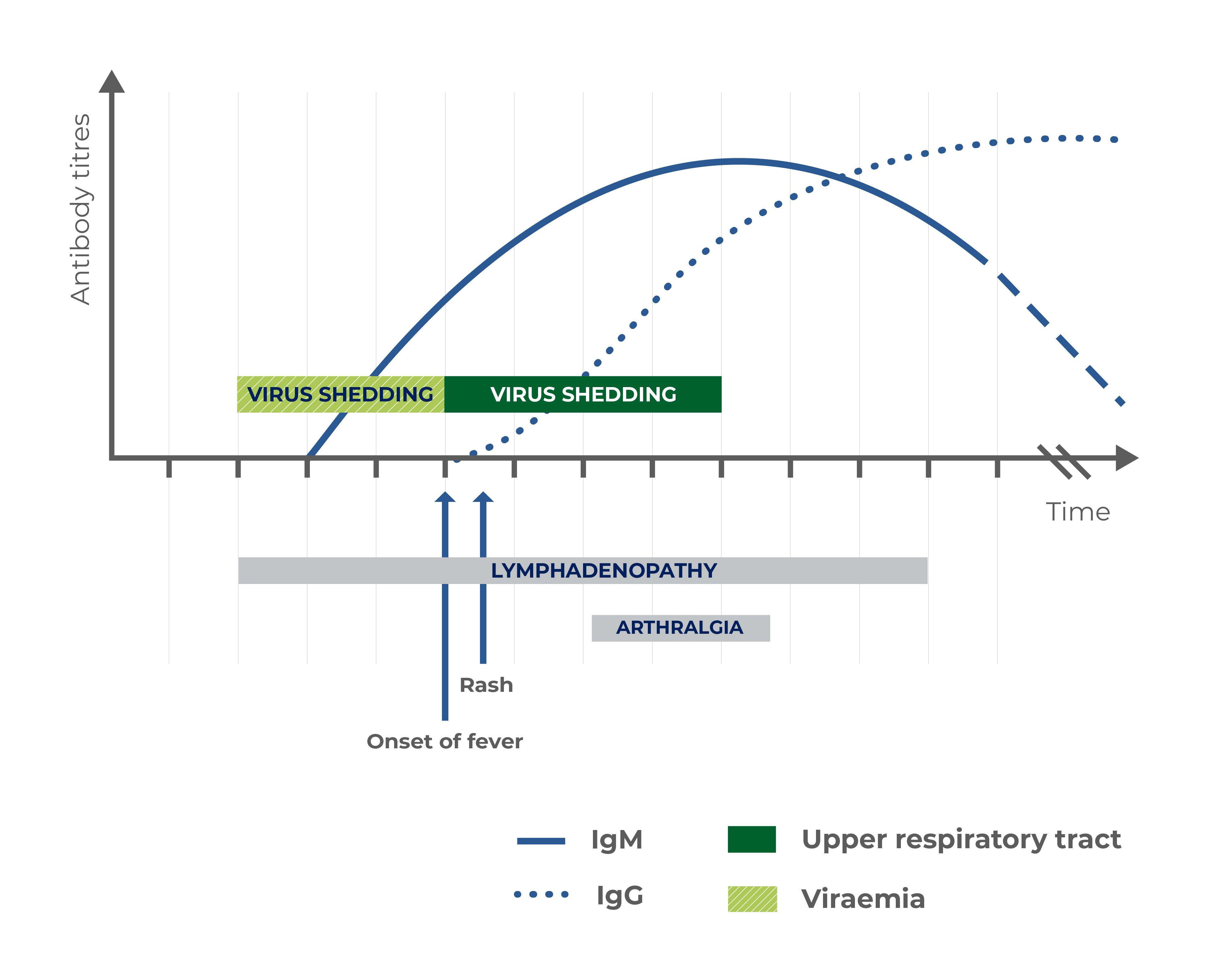 Rubella Virus Evolution Graph - Diasorin