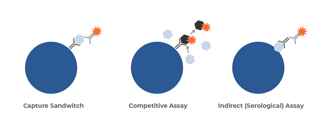 xMAP® Immunoassays Capture Sandwich Format Is Commonly Used for xMAP® Protein Assays - Diasorin