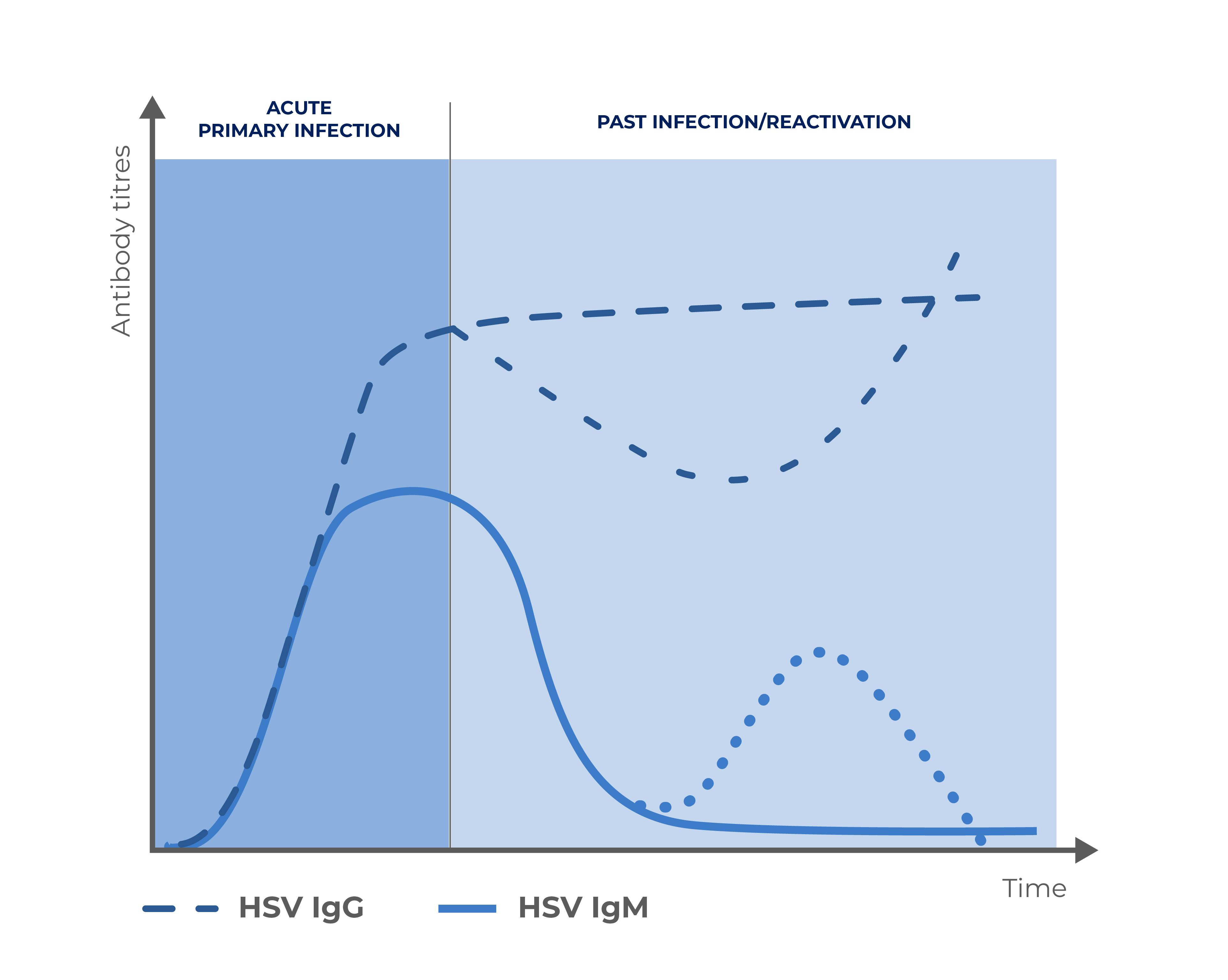  HSV Infection Evolution Graph - Diasorin