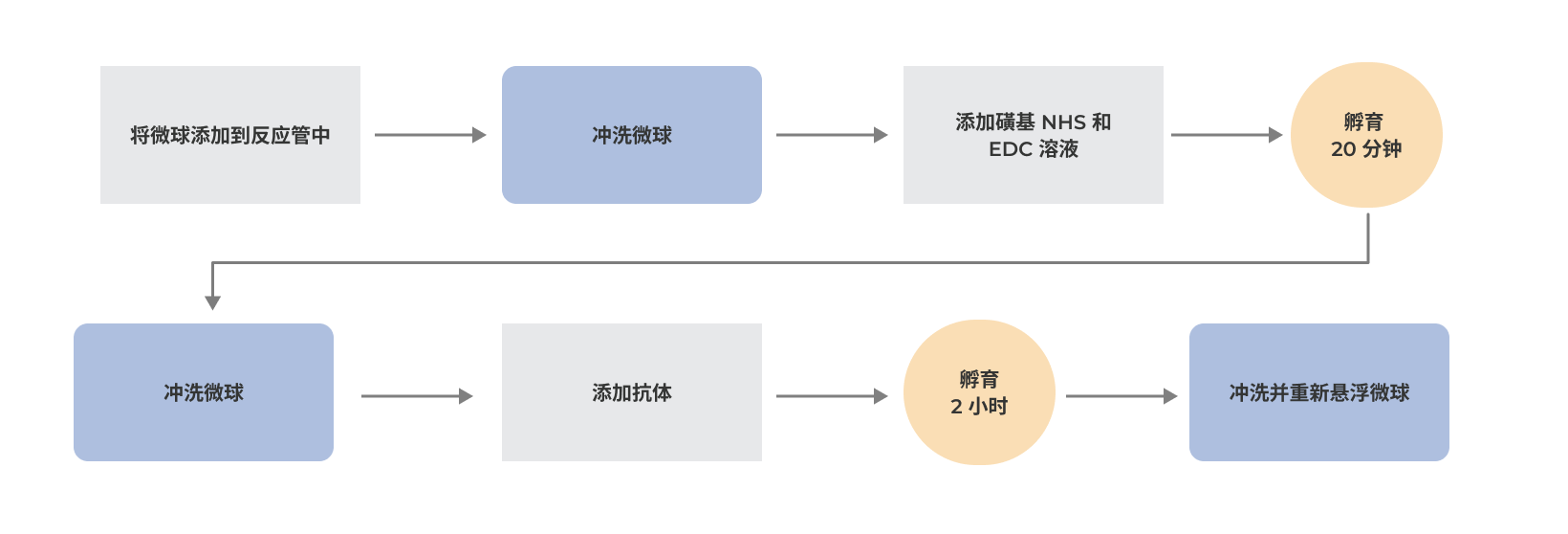 xMAP® 抗体偶联试剂盒图谱