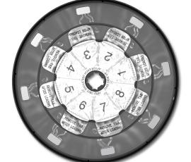 Molecular Diagnostics DirectDisc - LARGE Molecular Diagnostics DirectDisc - LARGE