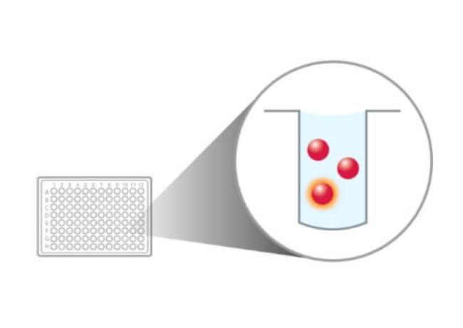 Incorporate Magplex Monitor Beads Into The Assay Bead Mix - Diasorin